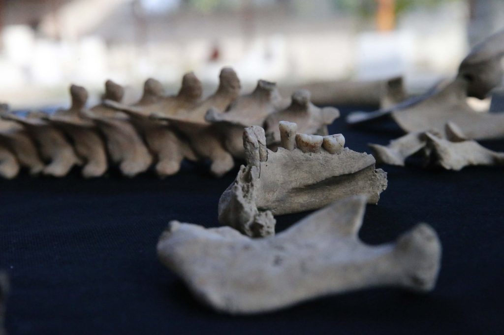 Archaeogenetic studies shed light on Türkiye’s Stratonikeia