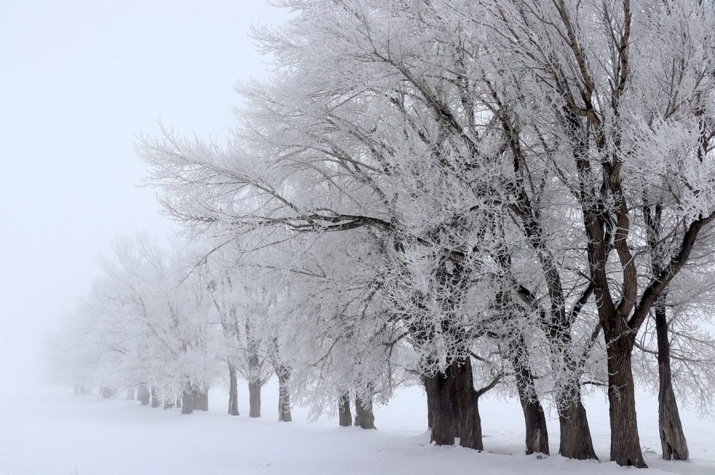 Türkiye’s eastern provinces battle sub-zero temperatures