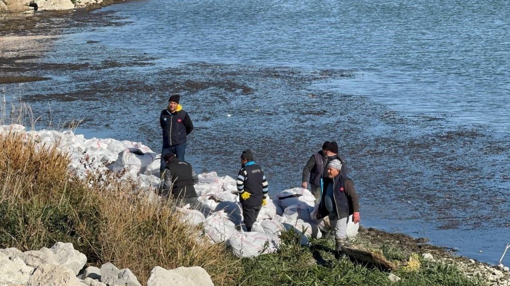 Cleanup in Türkiye’s 4th-largest lake removes 600 sacks of algae