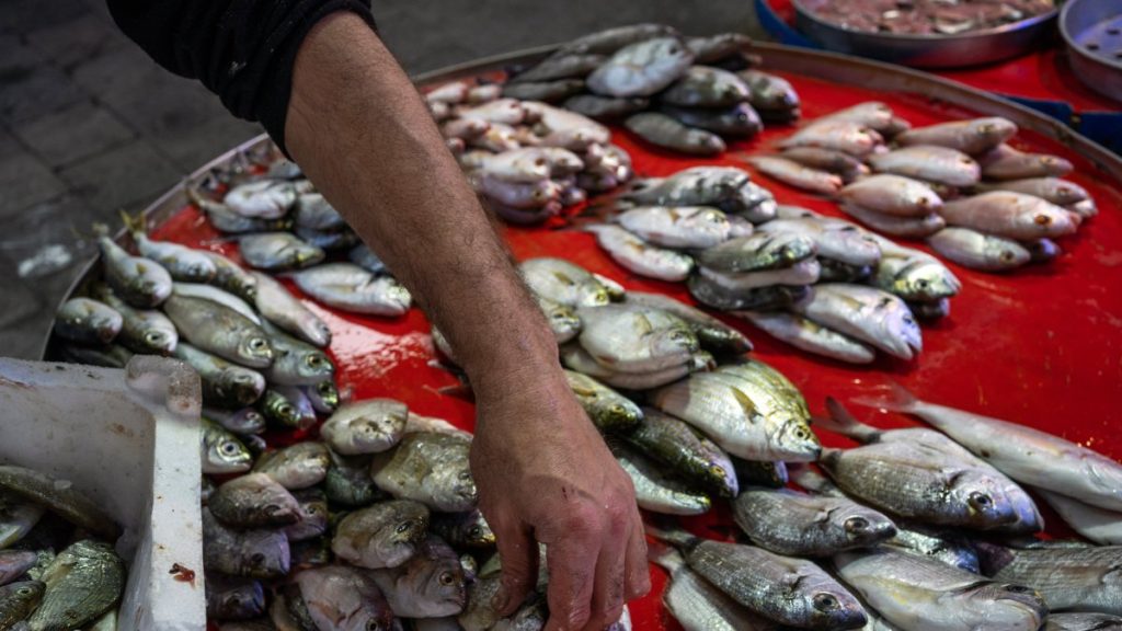 Microplastic alarm in fish in Türkiye’s Izmir Gulf