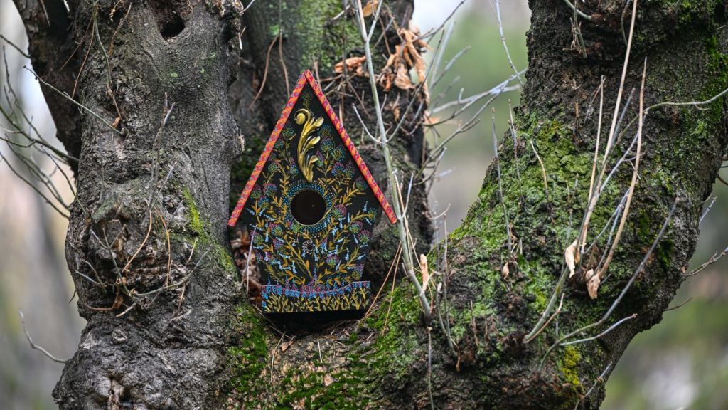 Turkish artist builds birdhouses to spread beauty, kindness