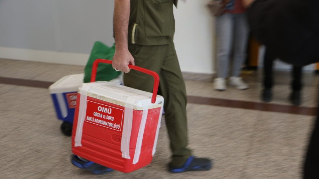 Samsun leads Türkiye in organ donations, transplants in 2024