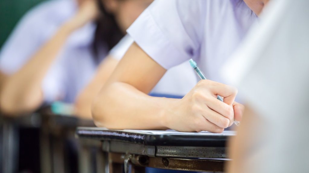 Türkiye’s education sector expands with student activity, therapy centers