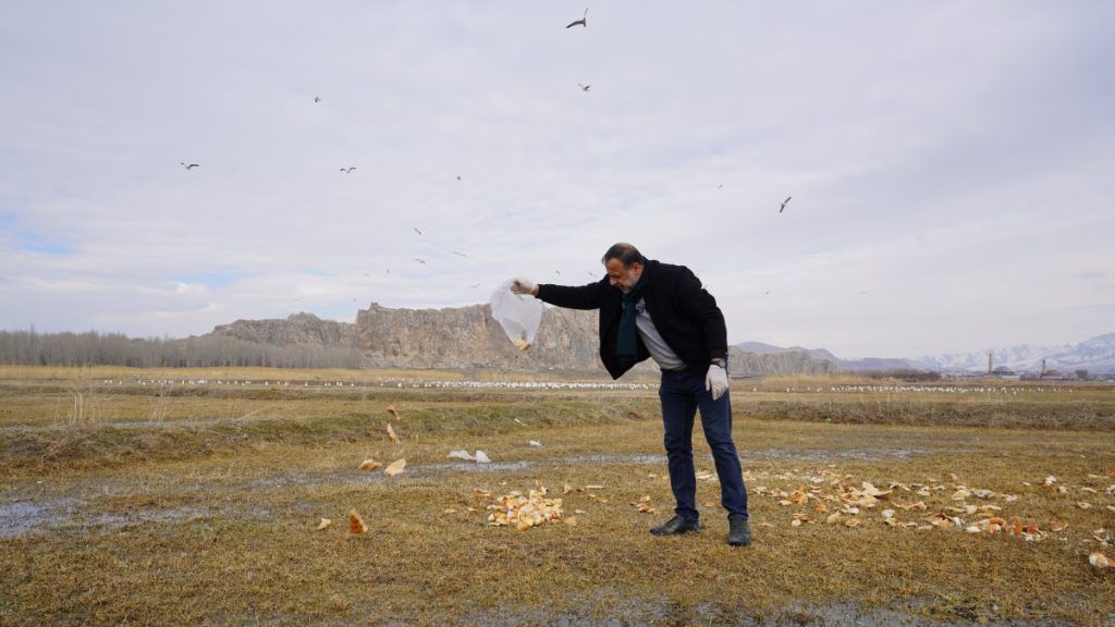 Man in eastern Türkiye feeds birds daily with collected leftovers