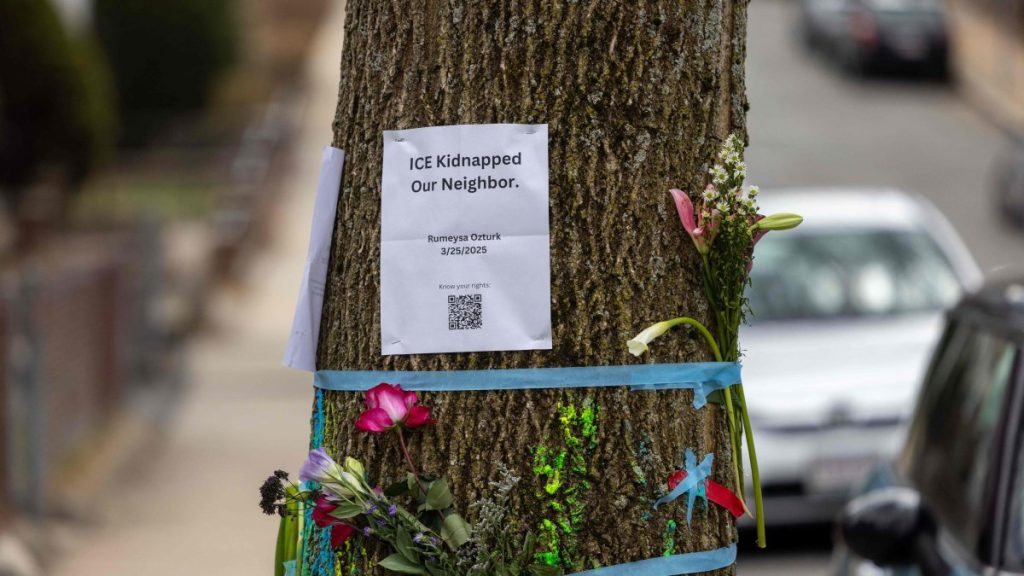 Pro-Palestine Turkish student denied bail in US