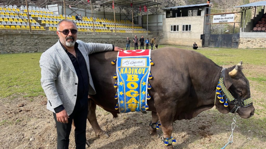 Fenerbahçe fan plans to parade real ‘Kadıköy Bull’ after title glory