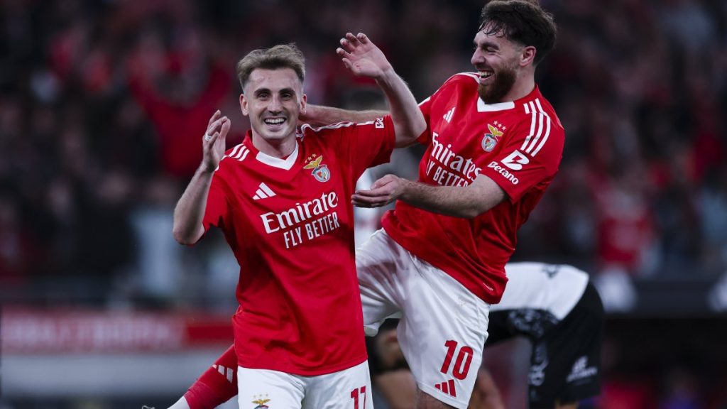 Turkish Crescent-Stars abroad: Shining bright or chasing shadows?