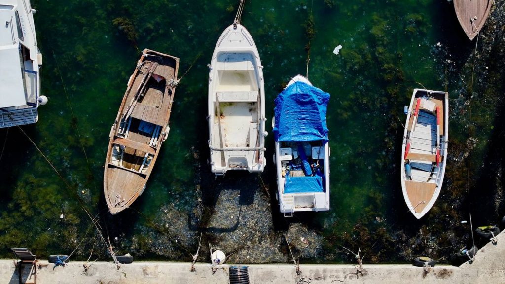 Rising temperatures bring mucilage back to Istanbul’s Beykoz shores