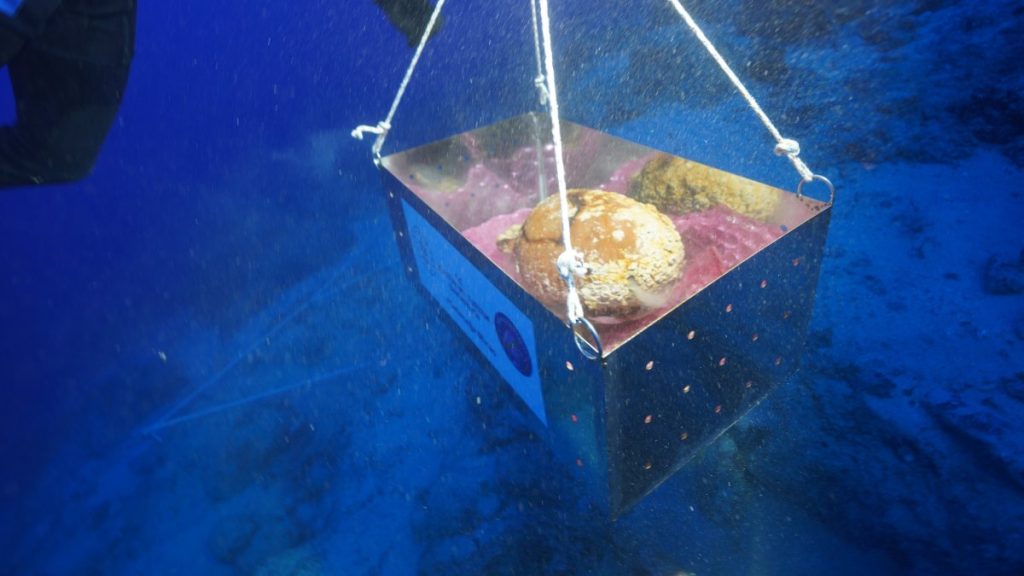 Researchers discover 1,100-year-old sealed amphora off southern Türkiye