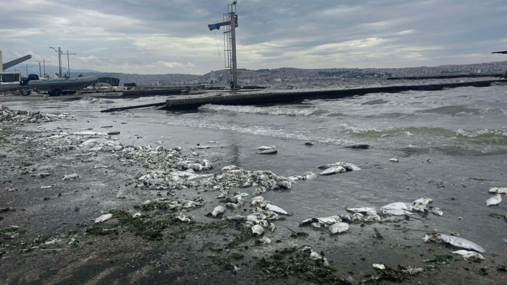 CHP-run Izmir in western Türkiye embattled with environmental scandals