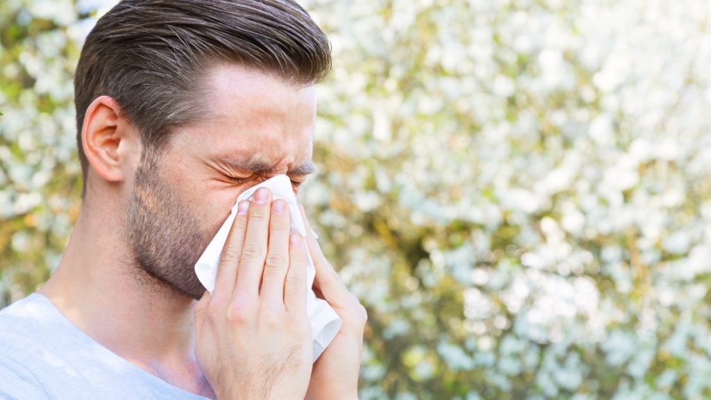 1 in 5 people in Türkiye suffer from allergy symptoms: Experts
