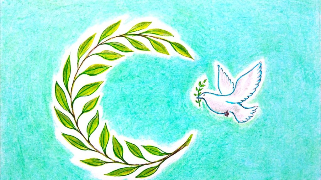 Diplomacy rekindled: Türkiye’s renewed role in Russia-Ukraine mediation