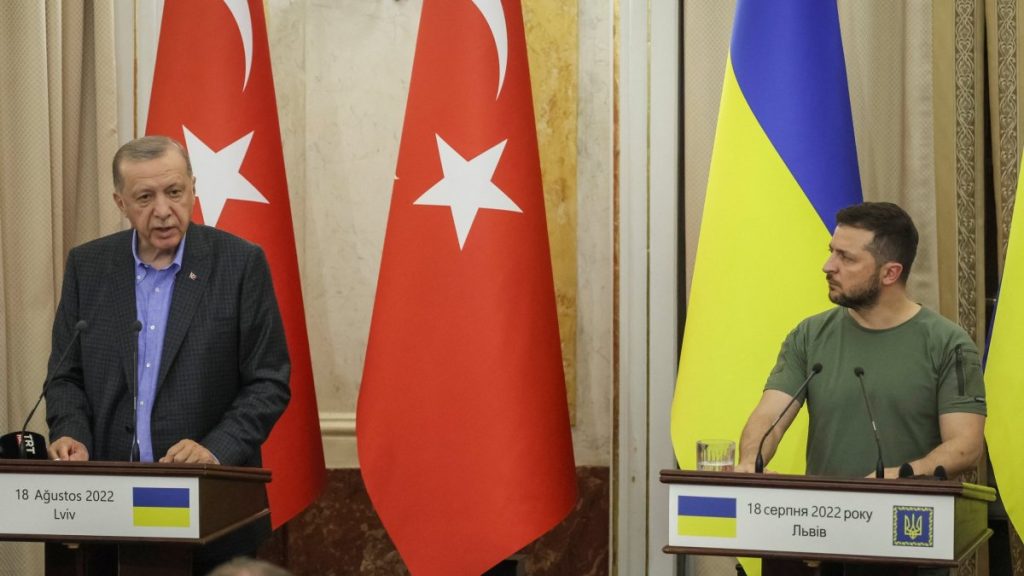 Zelenskyy ‘grateful’ to Erdoğan for Ukraine peace efforts